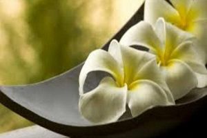 oasi di relax Abano terme