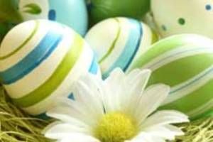 pasqua